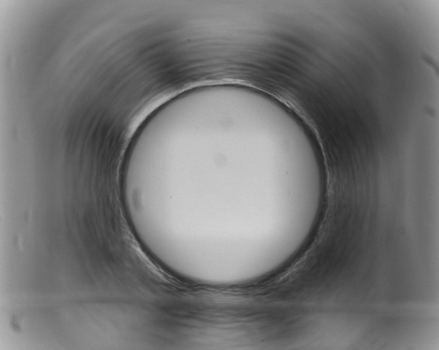 X0000099540789200805160747