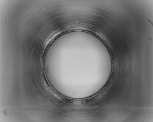X0000099540790200805160747