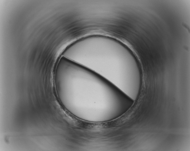 X0000099540791200805160747