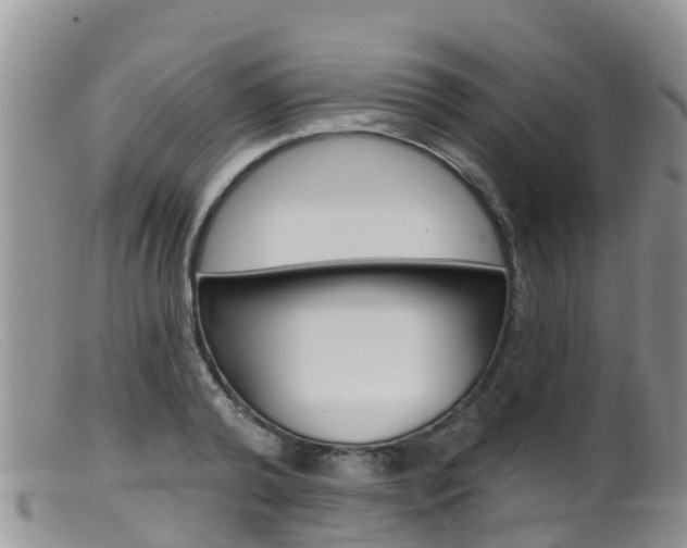 X0000099540792200805160747