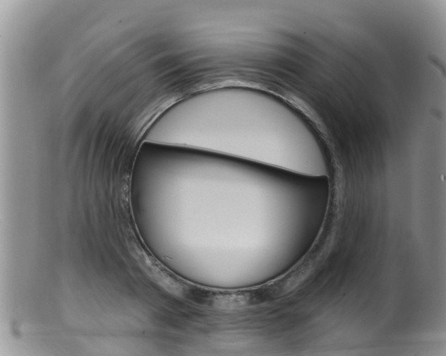 X0000099540793200805160747
