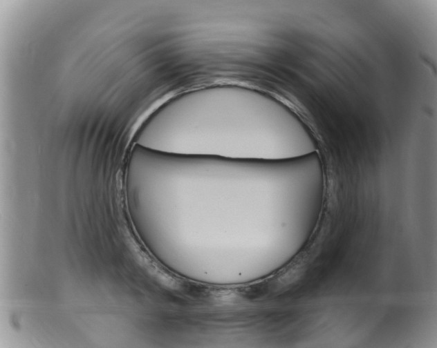 X0000099540798200805160747
