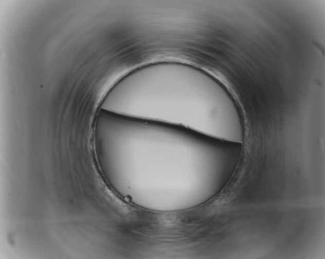 X0000099540799200805160747