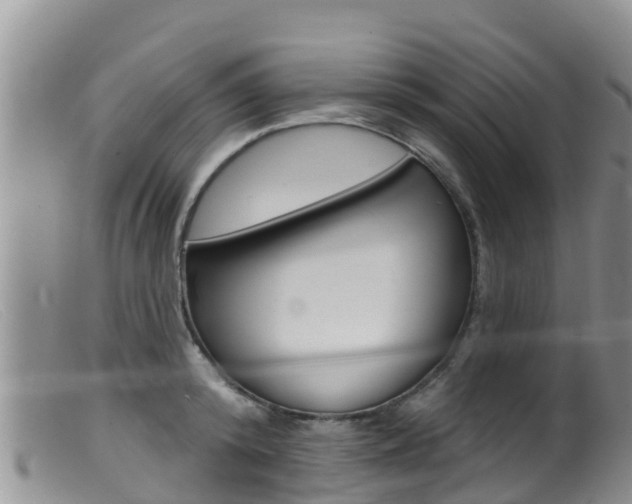 X0000099540800200805160747