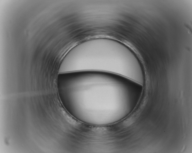 X0000099540801200805160747