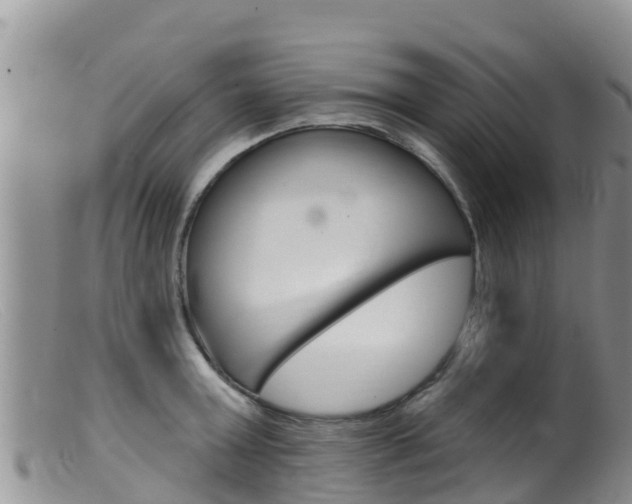 X0000099540803200805160747