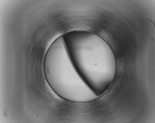 X0000099540804200805160747