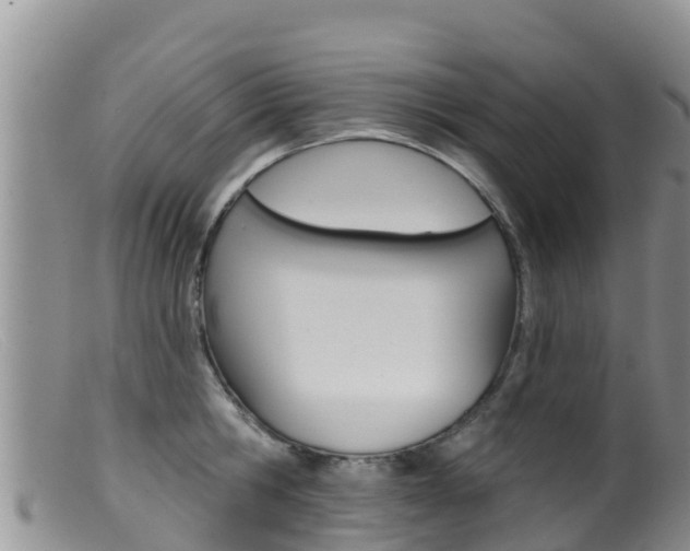 X0000099540806200805160747