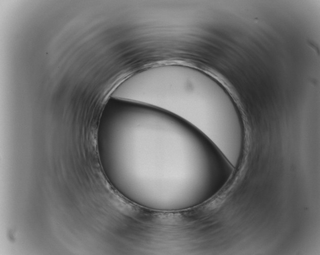 X0000099540809200805160747