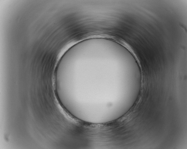 X0000099540811200805160747