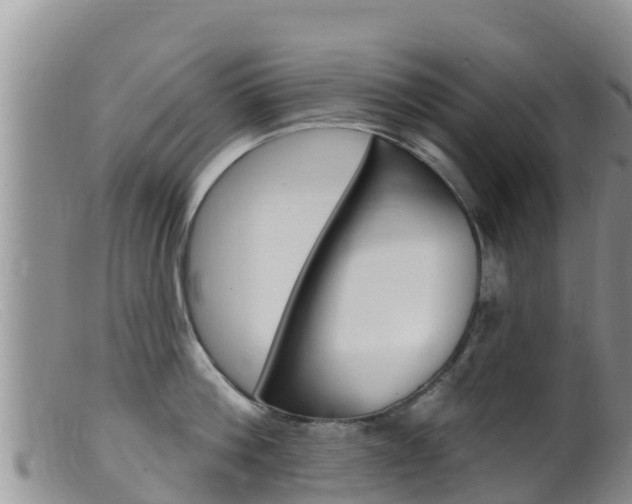 X0000099540812200805160747