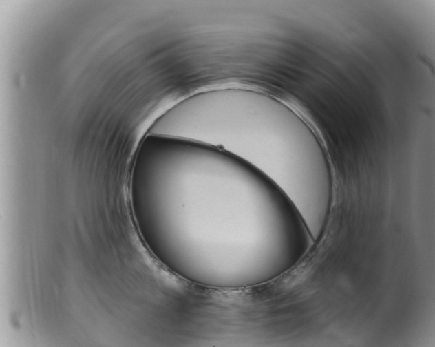 X0000099540813200805160747
