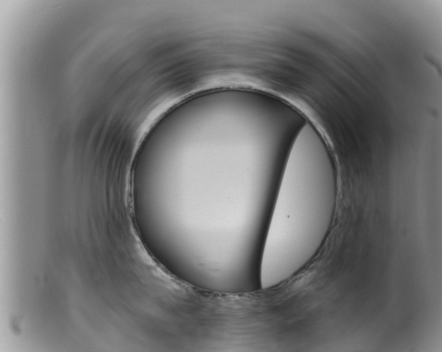 X0000099540815200805160747