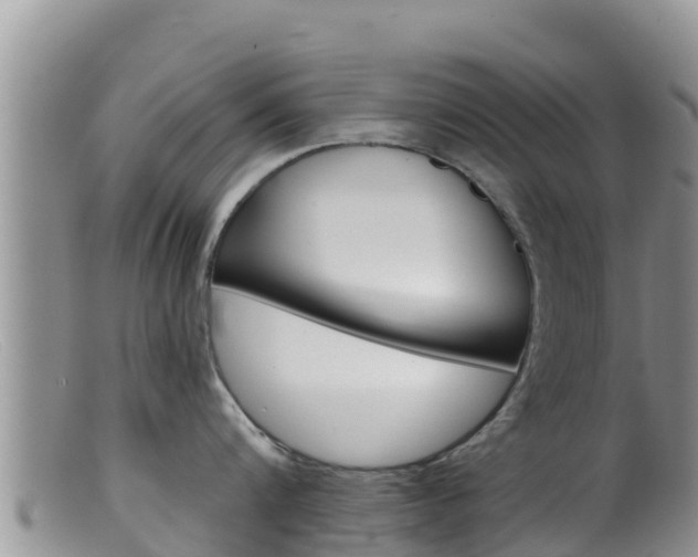 X0000099540816200805160747