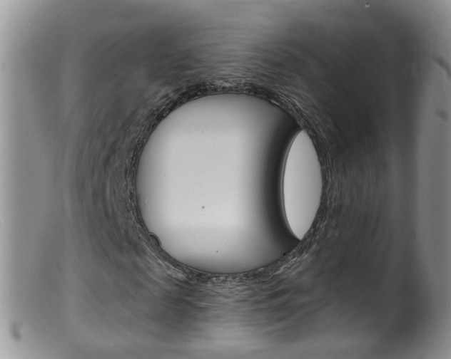 X0000099540817200805160746