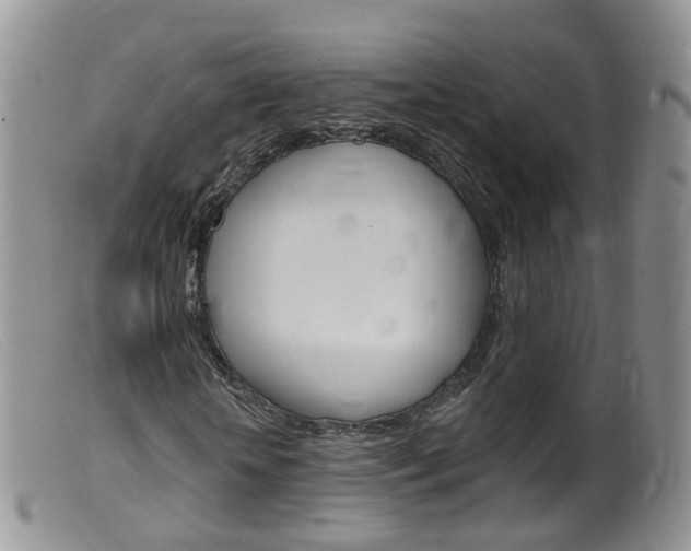 X0000099540818200805160746