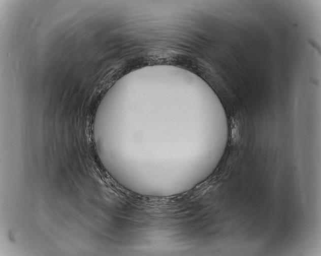 X0000099540819200805160746