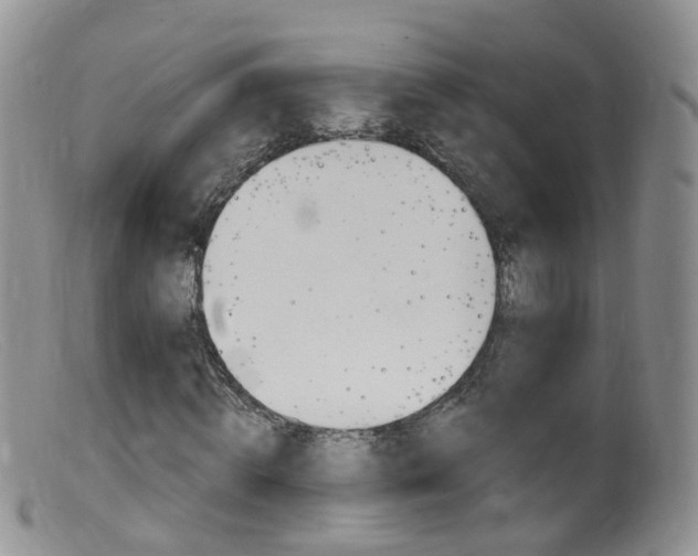 X0000099540820200805160746