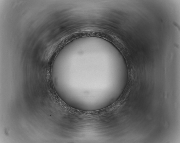 X0000099540821200805160746