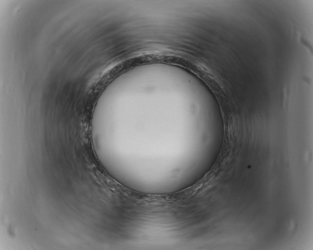 X0000099540822200805160746