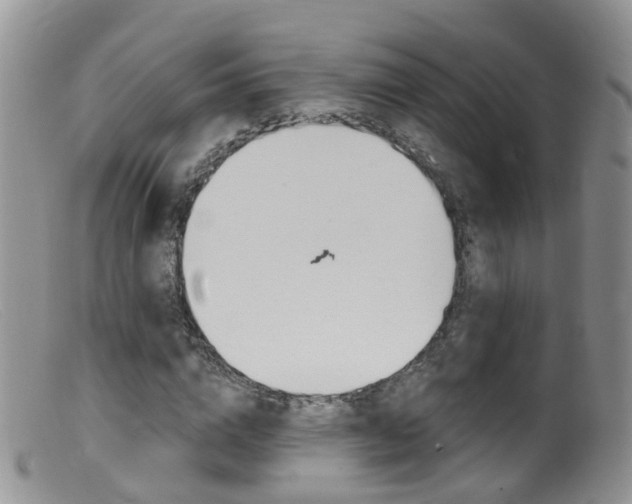 X0000099540824200805160746