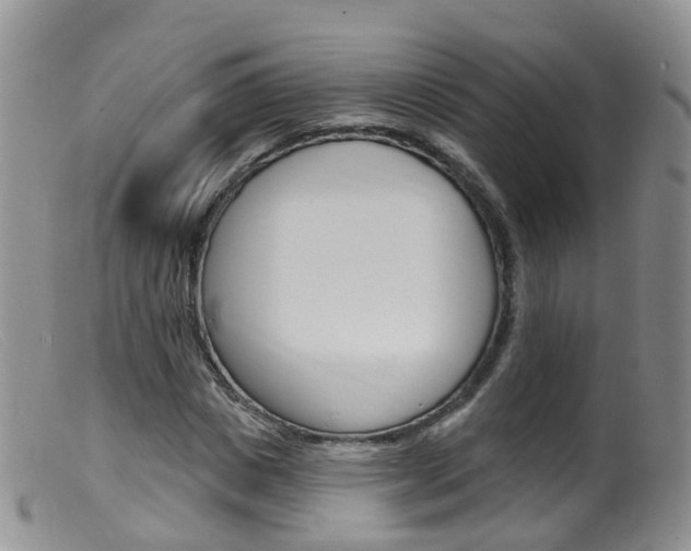 X0000099540825200805160746