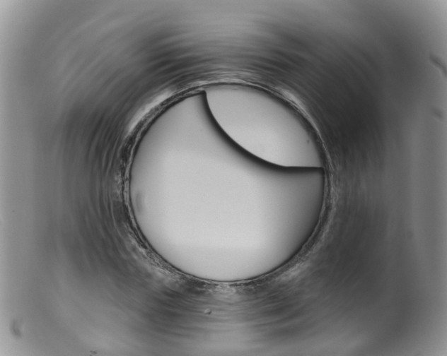 X0000099540827200805160746