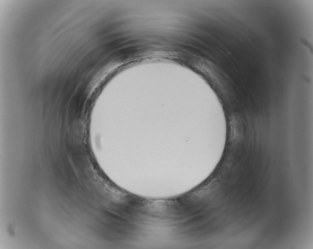 X0000099540828200805160746