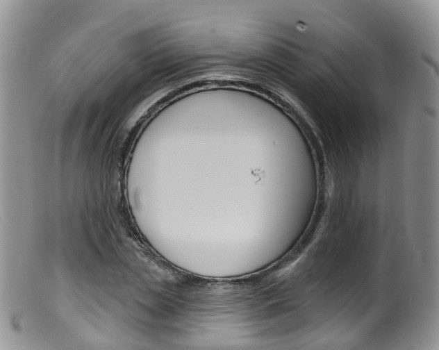 X0000099540829200805160746