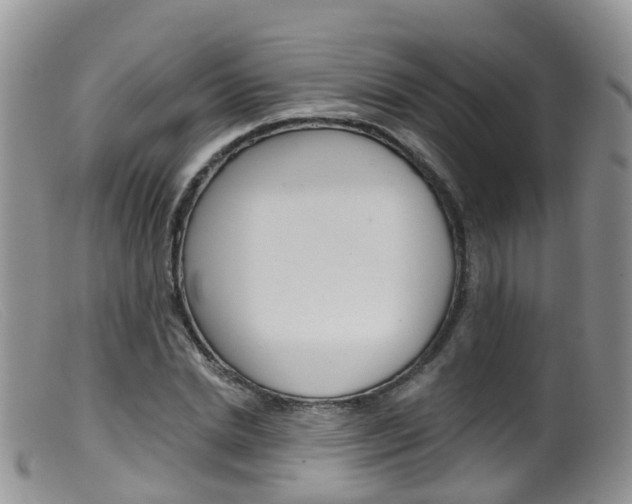 X0000099540830200805160746