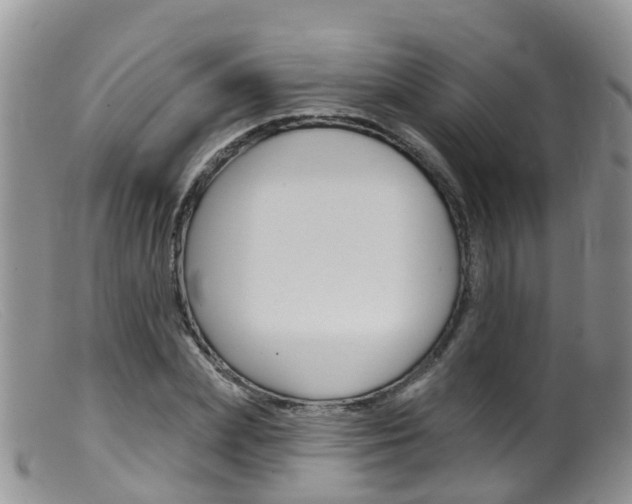 X0000099540831200805160746