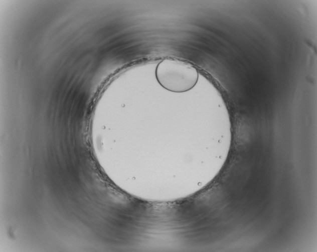 X0000099540832200805160746