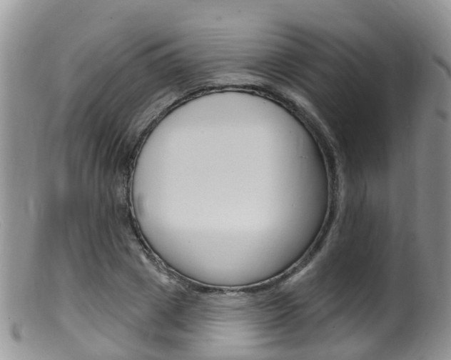 X0000099540833200805160746