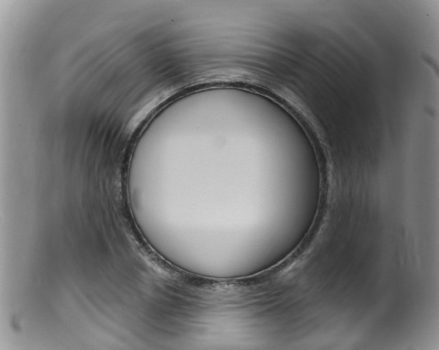 X0000099540834200805160746