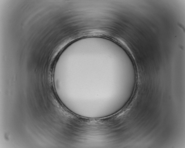 X0000099540835200805160746