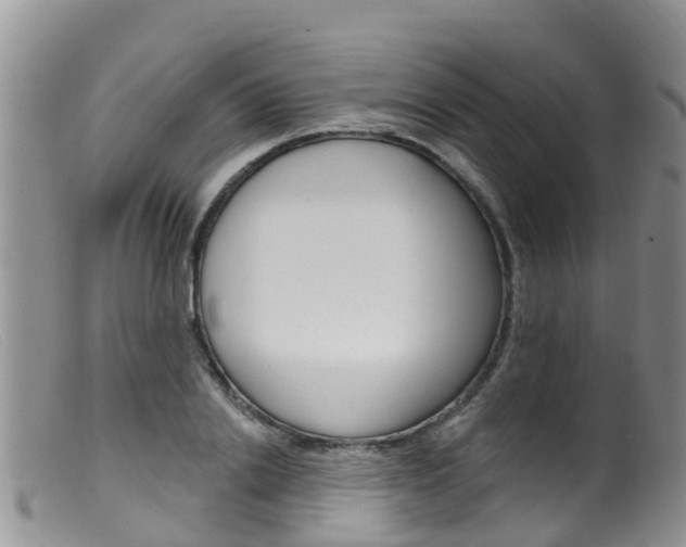 X0000099540838200805160747