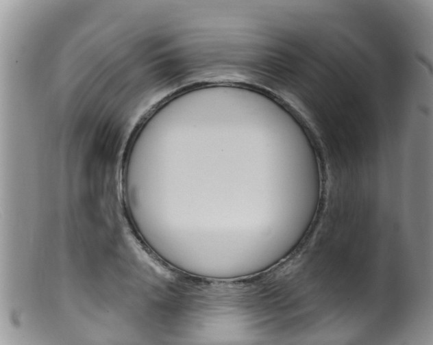 X0000099540840200805160747