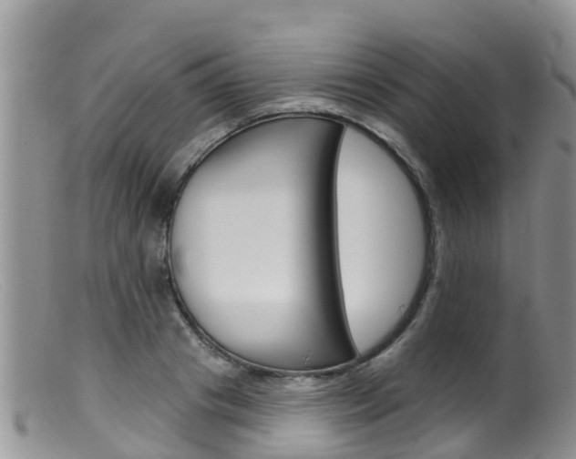 X0000099540841200805160747