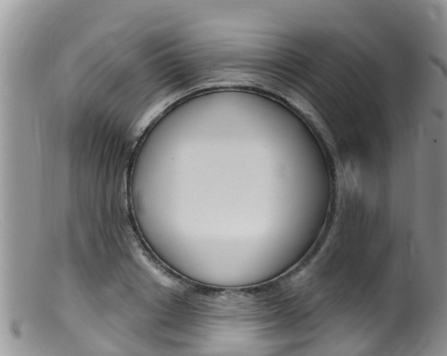 X0000099540842200805160747