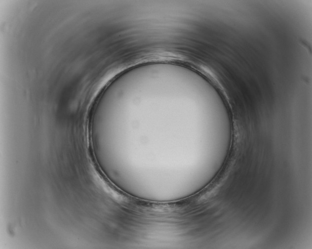 X0000099540843200805160747