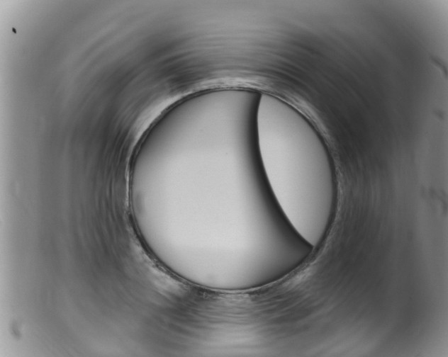 X0000099540844200805160747