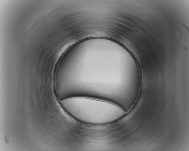 X0000099540845200805160747