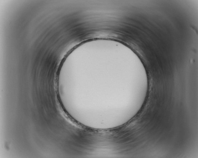 X0000099540848200805160747
