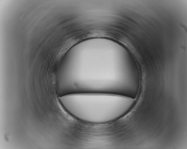 X0000099540849200805160747