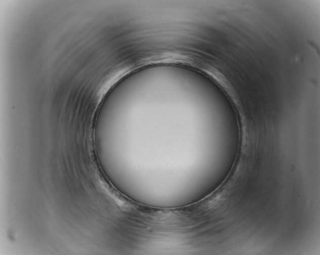 X0000099540850200805160747