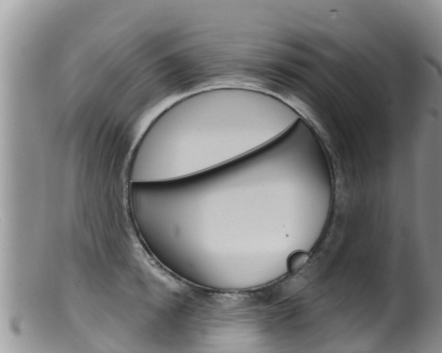 X0000099540854200805160747