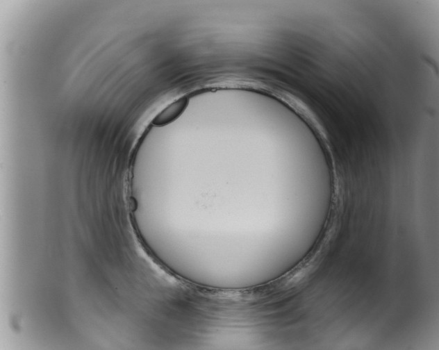 X0000099540855200805160747