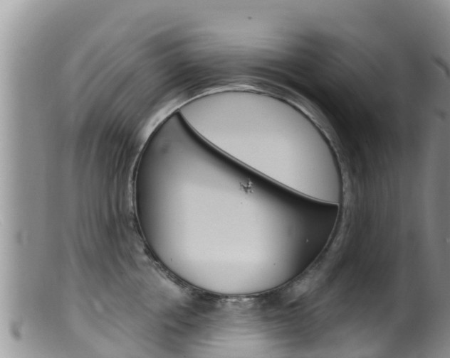 X0000099540858200805160747