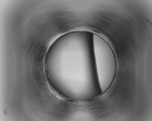 X0000099540862200805160747