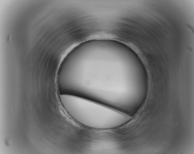 X0000099540864200805160747